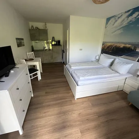 Zaunkoenig 1 Ostseebad Kühlungsborn