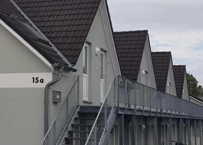 Zaunkoenig 1 *