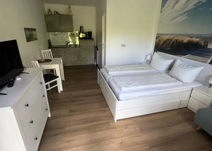 Zaunkoenig 1 Ostseebad Kühlungsborn